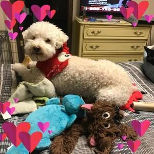 Meet your Posher, Dianne